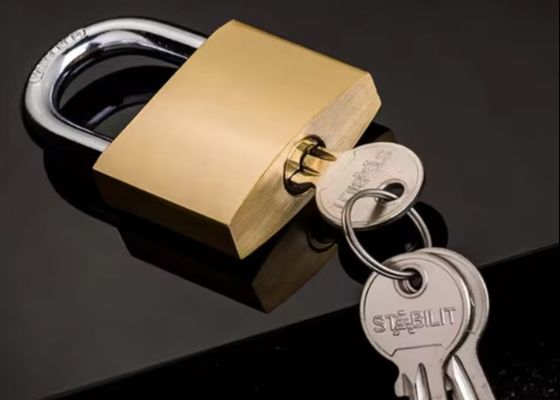Veiligheidspadlock van koper 20 mm zwaar werk koper in bulk ODM