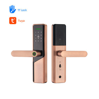 Elektrisch Digitaal Smart Volibel Aluminium Alloy RFID Card Password Code Door Lock zonder vingerafdruk Tuya Ttlock App